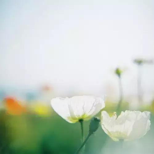 用了很久都不舍得换的个性签名,让人觉得温柔又惹不起的个性签名