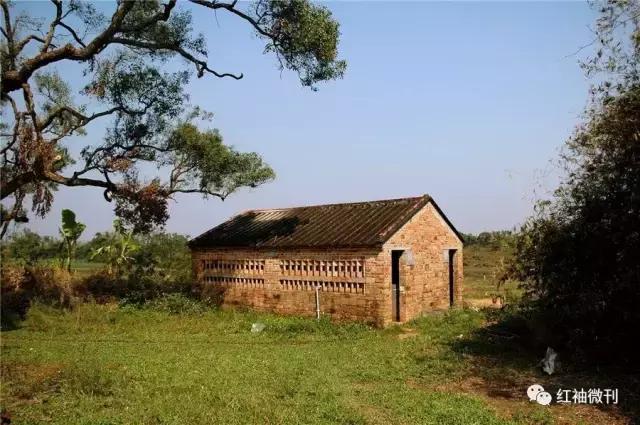 张书勇视频,张书勇一路口令教学