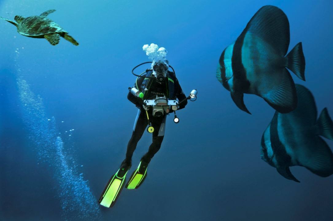 菲律宾靠近马尼拉好玩的地方,菲律宾离中国最近的岛