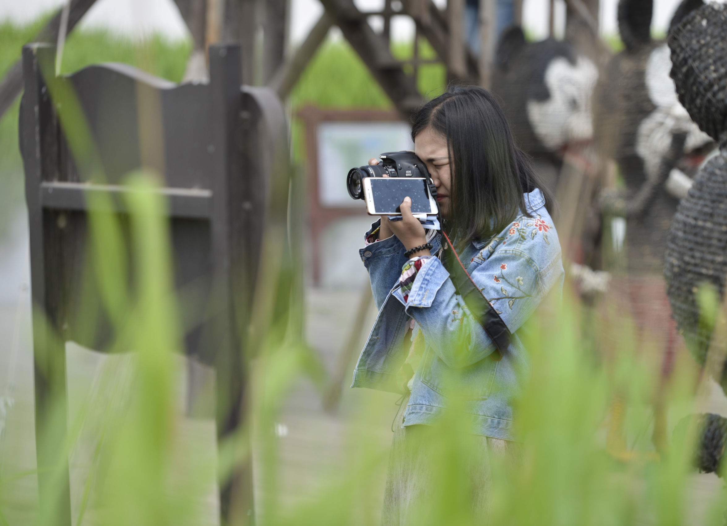 曹妃甸曹妃事件,曹妃甸区曹妃