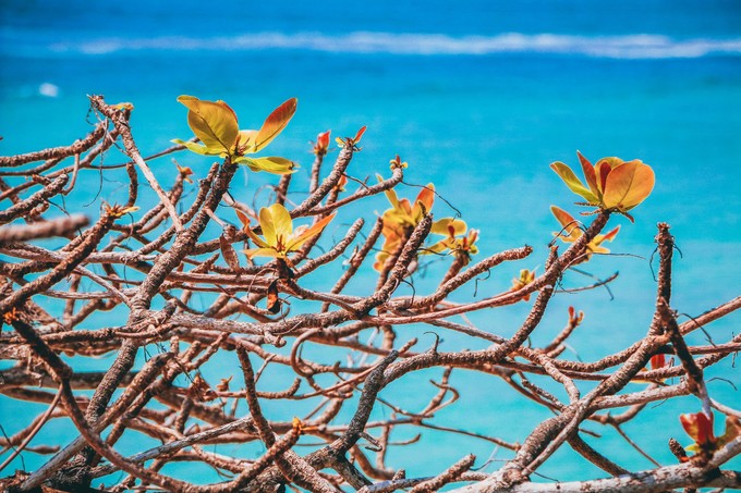北纬18度三亚你不愿意错过的风景
