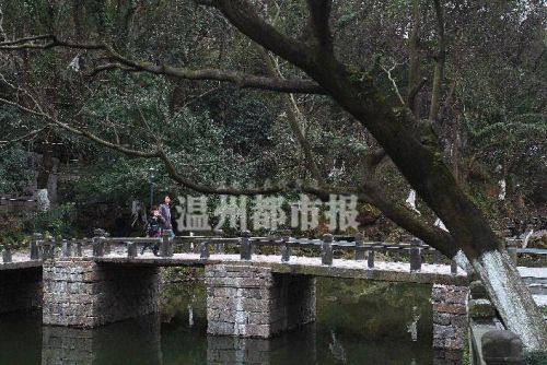 温州的最美古桥,温州古桥景点有哪些