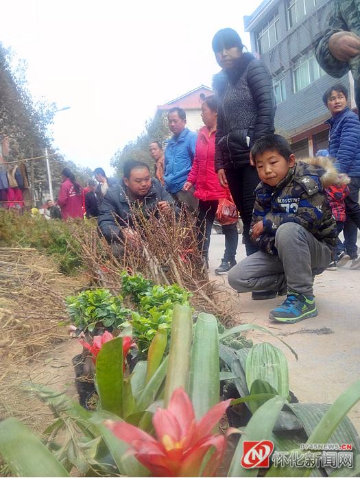 新晃侗族自治州凉伞镇,新农人年货大礼包