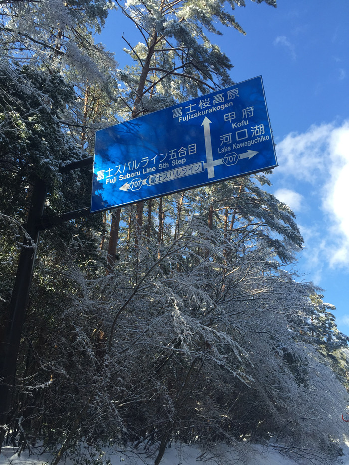 日本的冬天依旧色彩绚烂,冬季日本的冰雪阳光