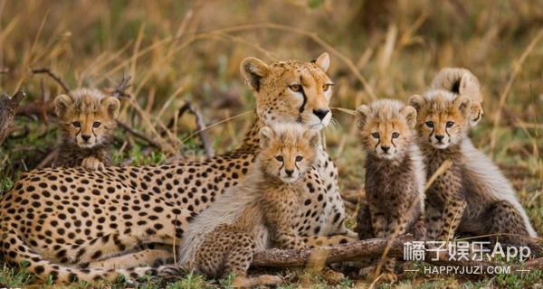 笑容引起的法令纹怎么解决,明星淡化法令纹最简单方法