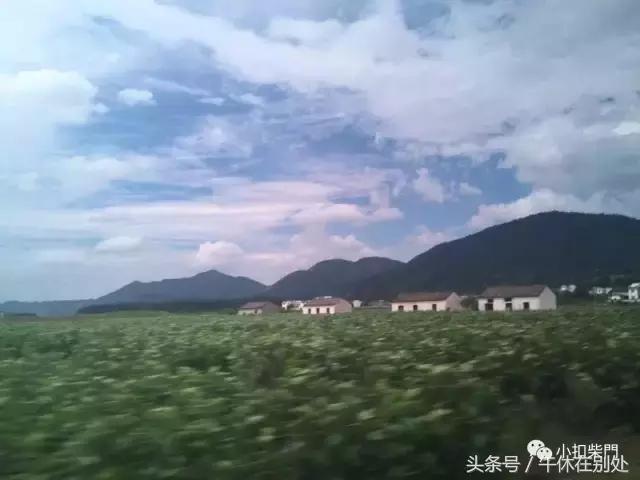 自由行订酒店推荐,自由行酒店住宿攻略