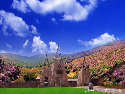 这里是中国阳光花城，被誉为“花是一座城，城是一朵花”