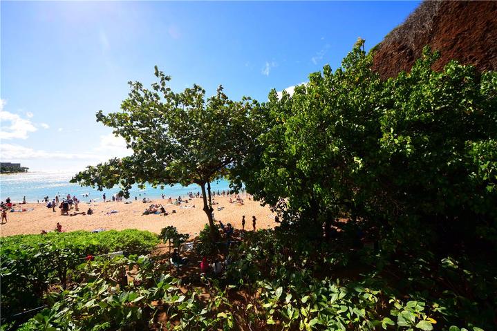 骨灰级探险视频,水上运动场夏威夷maui岛浮潜