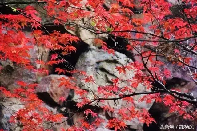 瘦西湖优惠门票多少钱,瘦西湖门票优惠政策最新