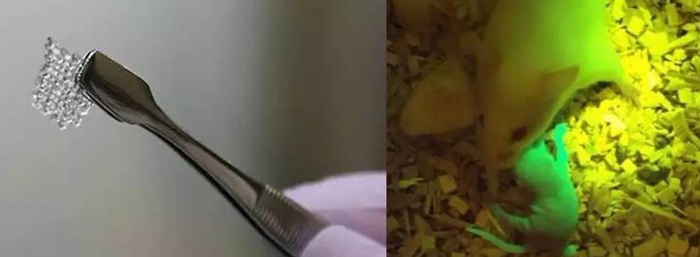 3d打印可以打造人体器官吗,哪里能进行人体3d打印