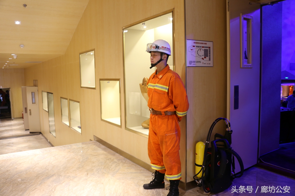 金盾护卫简介,金盾护卫