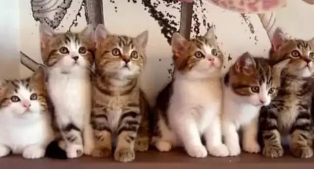 职场表情包朋友圈,职场表情包套装