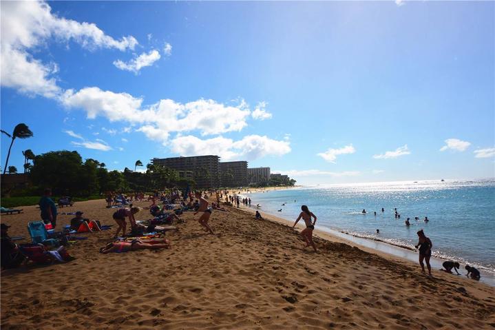 骨灰级探险视频,水上运动场夏威夷maui岛浮潜