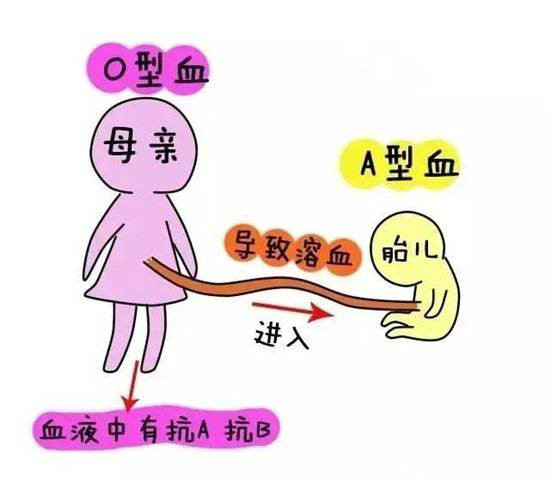 医生说再检查一遍血清,医生让我查铁蛋白