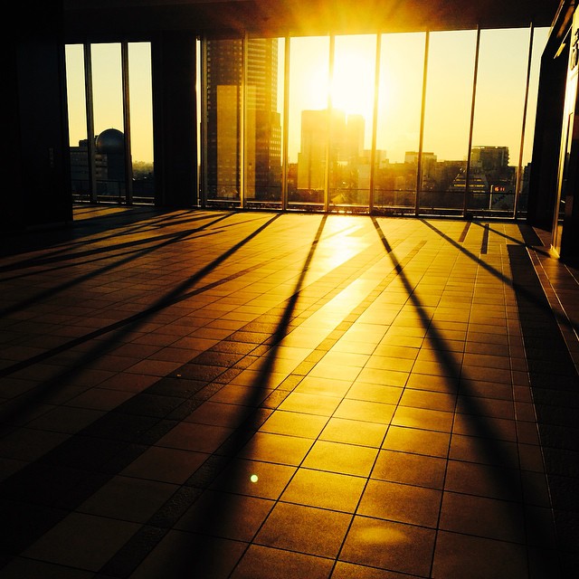 日本自由行涩谷,日本东京涩谷风景区攻略