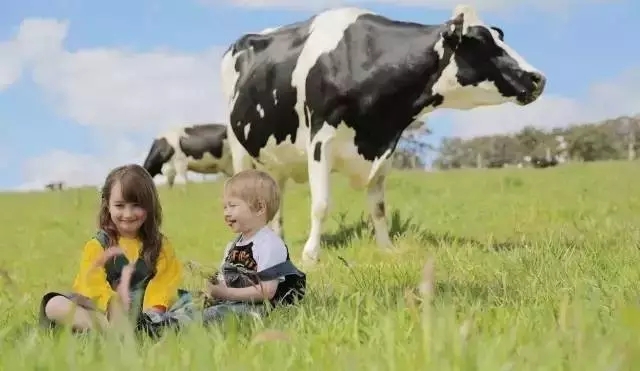 澳洲奶粉好还是俄罗斯奶粉好,为什么妈妈都喜欢欧洲奶粉