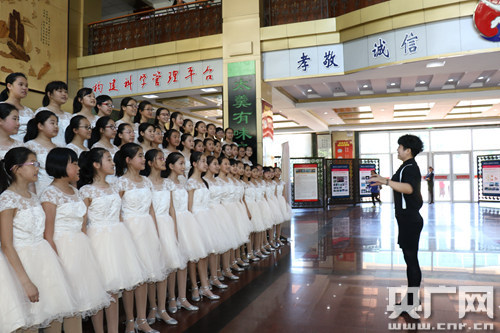 五十二中智行学校,五十二教育集团有哪些学校