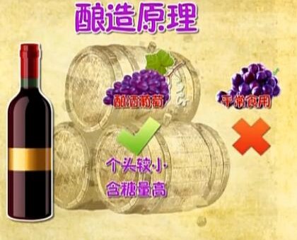 自酿葡萄酒太浓怎样勾兑,自酿葡萄酒太甜了可以加水吗