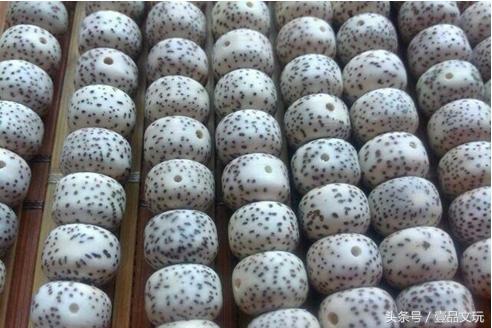 星月菩提真假判断,星月菩提真假对照表