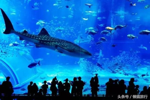 亲子游适合去泰国哪里,泰国普吉岛亲子游旅游攻略