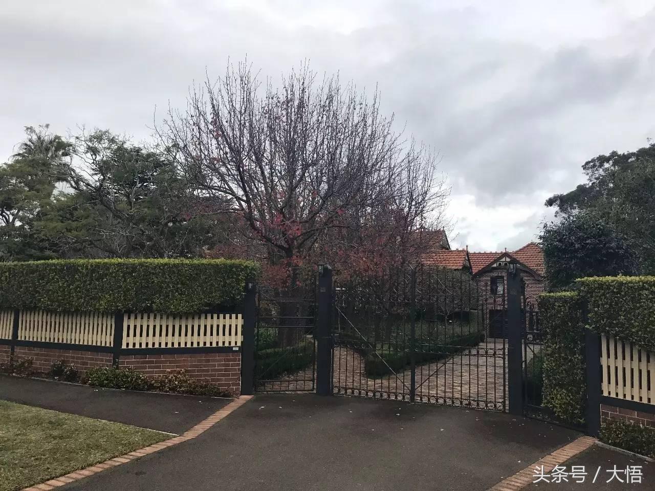 悉尼gordon怎么样,悉尼富人区huntershill