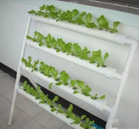 pvc管阳台无土种菜全图解,用pvc管阳台种菜安全吗