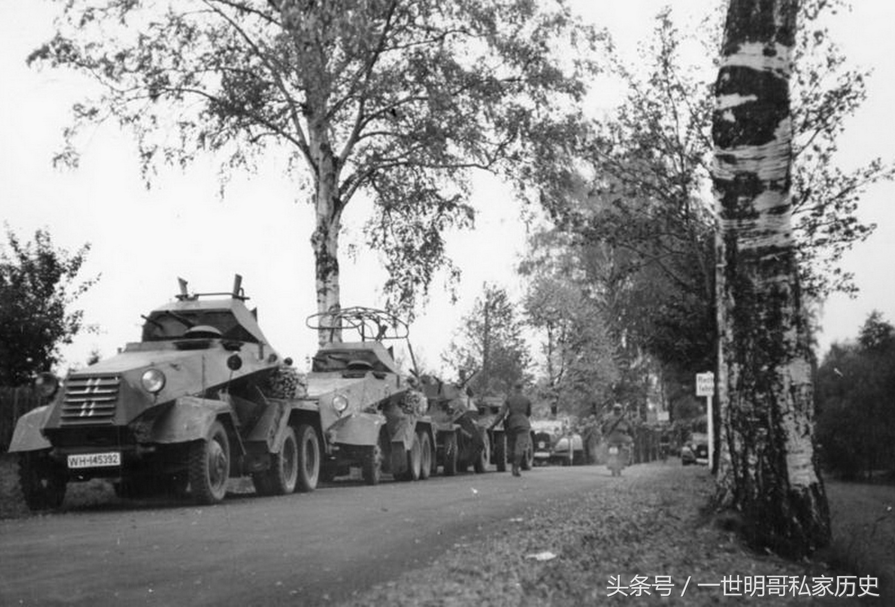 与狼共舞：德国与波兰从甜蜜伙伴到兵戈相见的幕后