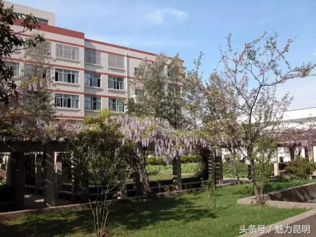 昆十四中老照片,昆十四中