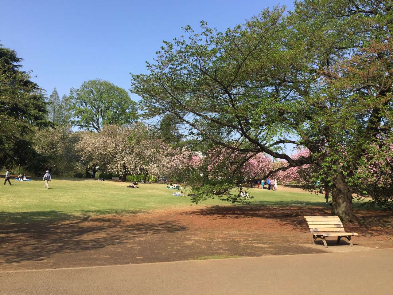 你和去日本旅行只差一张机票是一个国家更像是一个星球
