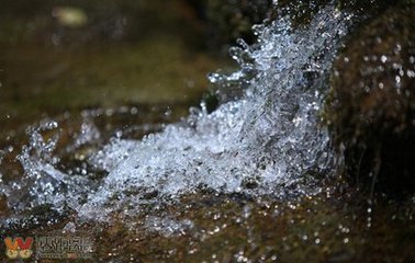 传说泡“山泉水”的三大好处真有这么神