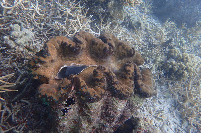 带着思念去海边,带着思念期待下一次再见