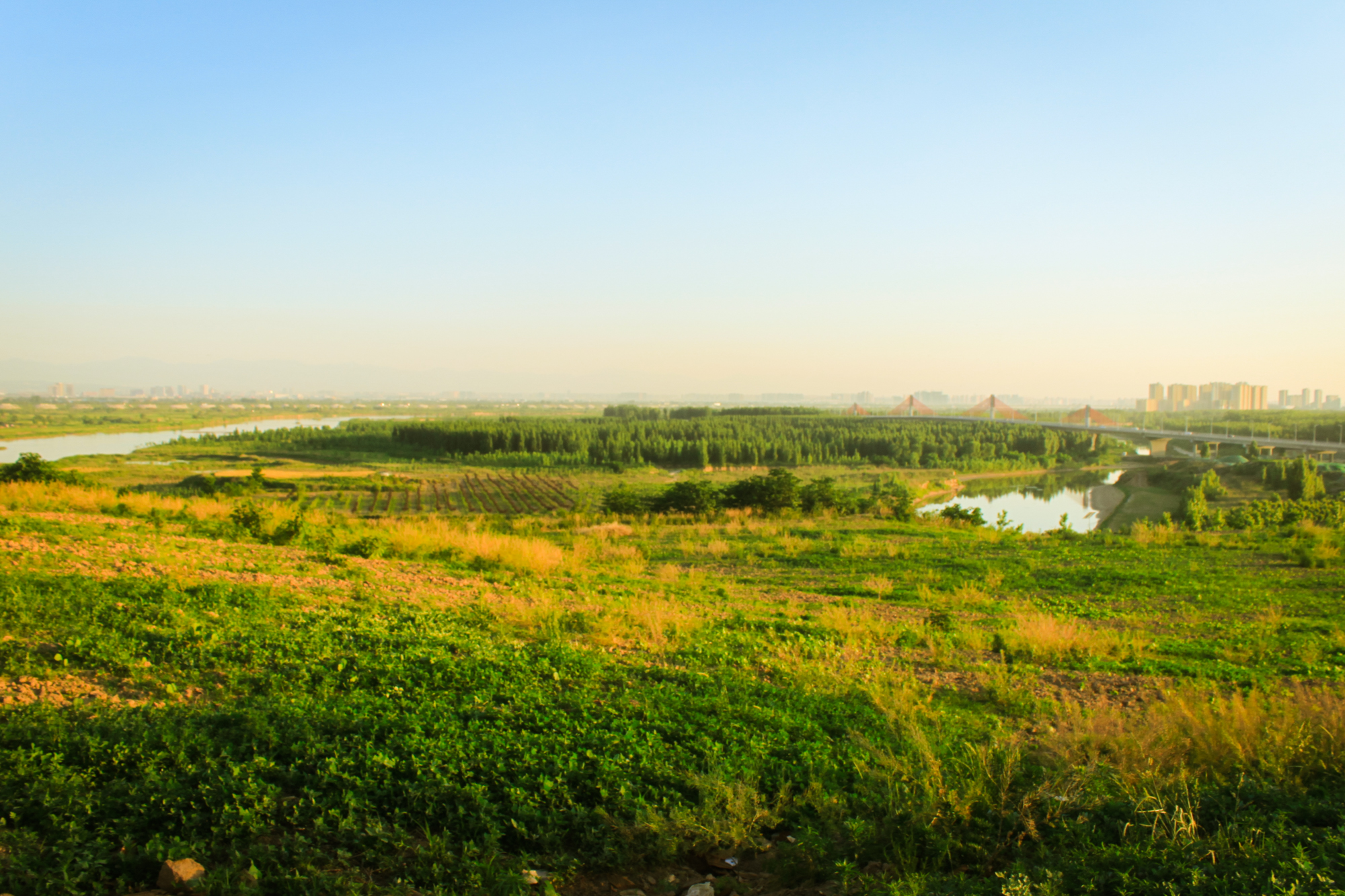 泾渭分明泾河为何清澈,泾河渭河泾渭分明是哪里