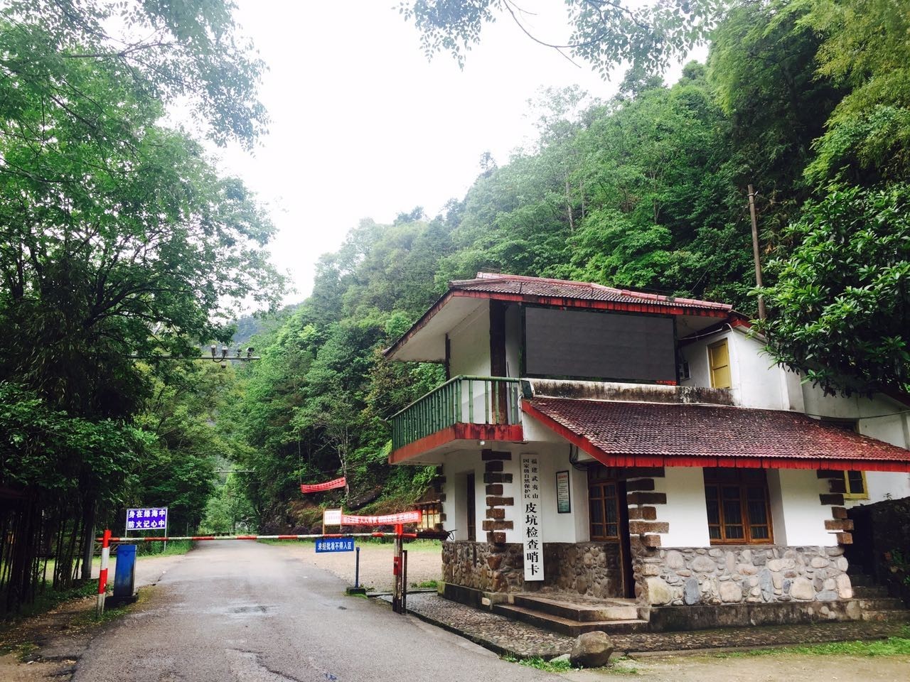 真正的金骏眉是什么样子的,金骏眉究竟什么样子的