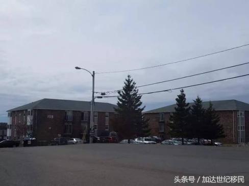 爱德华王子岛移民生活,爱德华王子岛值得去吗