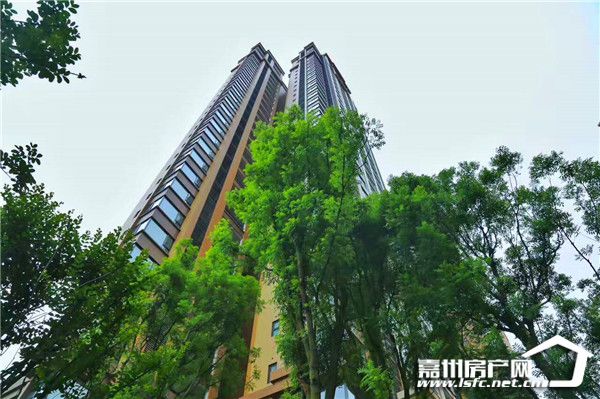 又是一年青春毕业季,又是一年毕业季租房