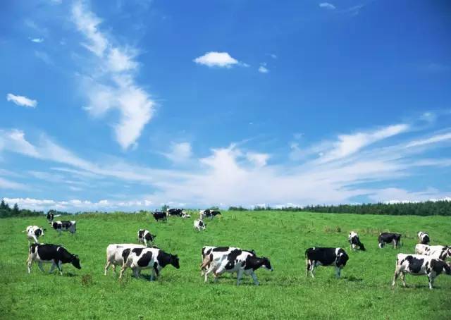 德国奶粉好还是荷兰奶粉好,进口奶粉有哪些品牌