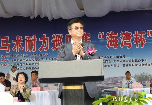 马术耐力赛100公里,马术耐力赛蒙古马