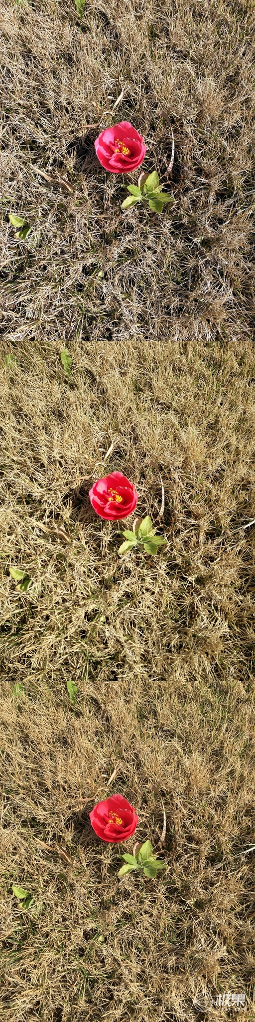 锤子t2评测爱否科技,锤子t2评测zealer