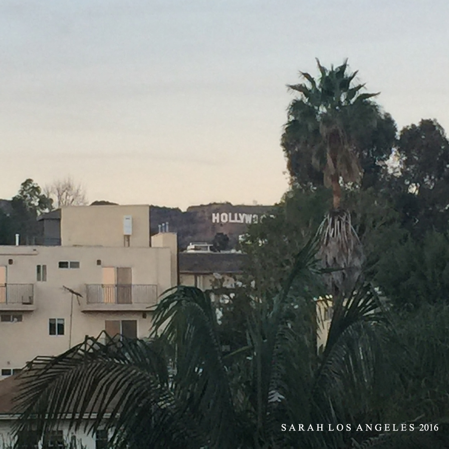 为了这束光，我们一路向北追逐而至...