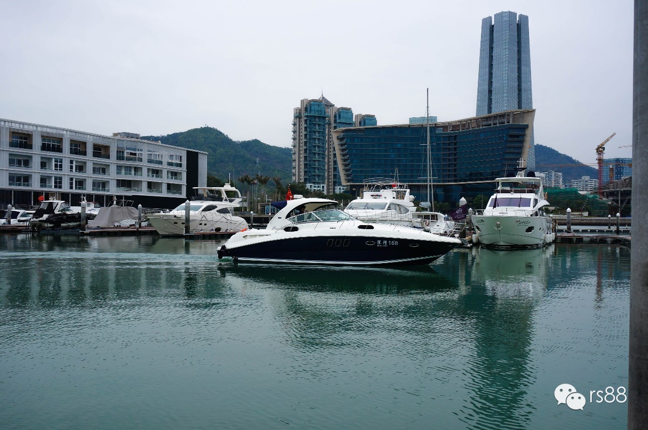 42鑻卞昂璞崕娓歌墖涔嬫梾,rs-88