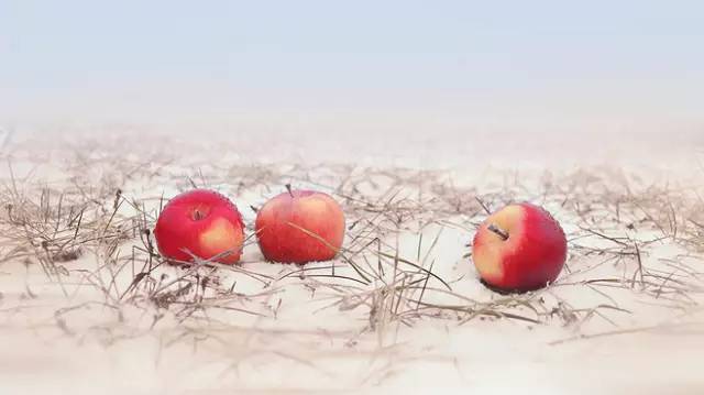 晚上吃苹果是吃毒药吗,晚上吃苹果等于吃毒药这是真的吗