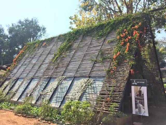 清迈重庆美食,清迈特色美食攻略大全
