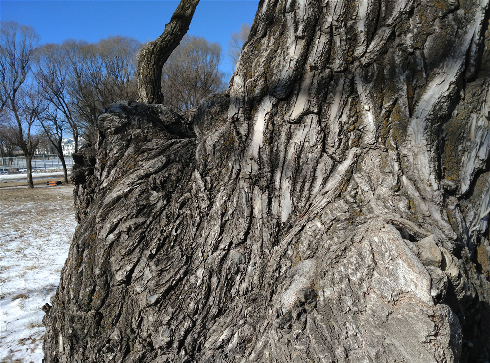 美，才是第一生产力——布拉格S详细体验