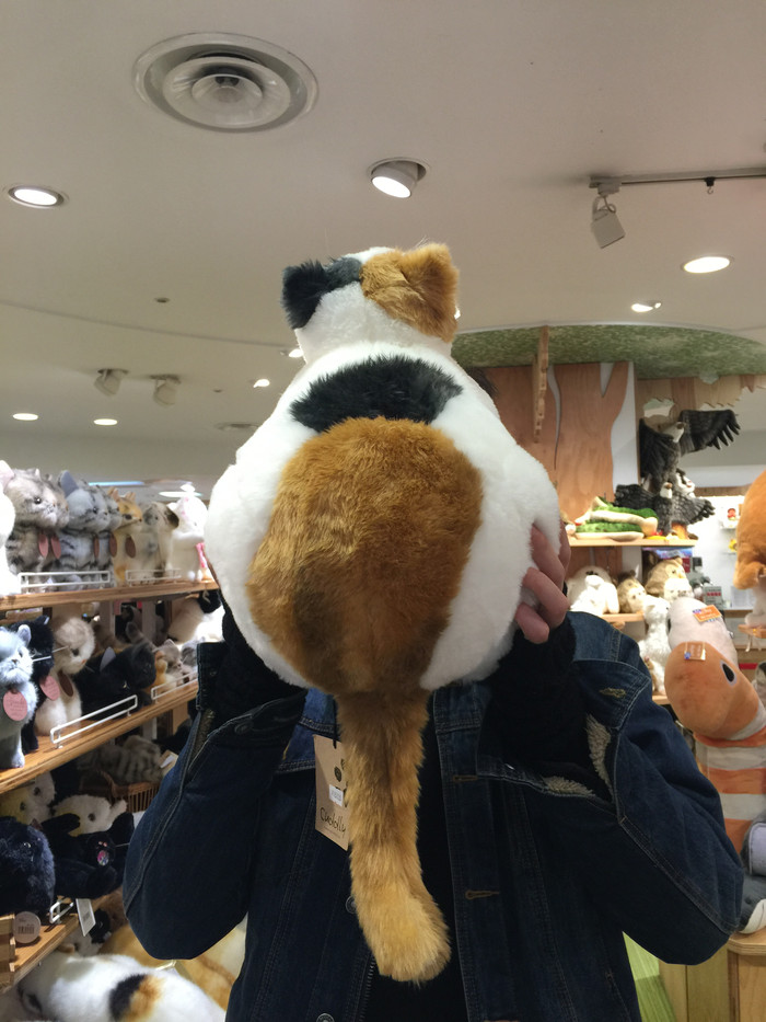 日本的冬日暖阳,日本的冰雪世界