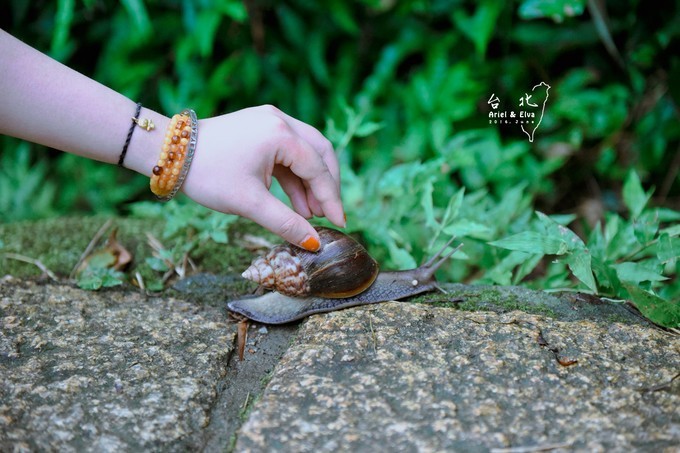 2017台北高雄垦丁花莲之旅,台北花莲垦丁自由行攻略