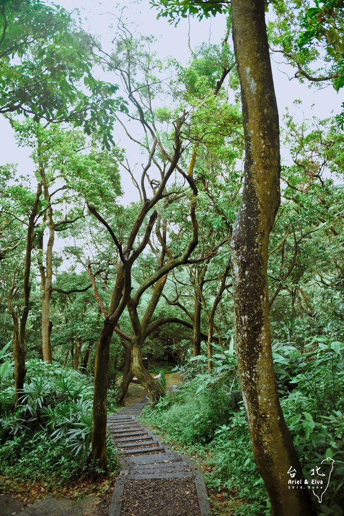 2017台北高雄垦丁花莲之旅,台北花莲垦丁自由行攻略