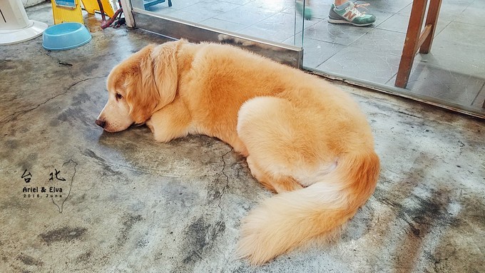 2017台北高雄垦丁花莲之旅,台北花莲垦丁自由行攻略