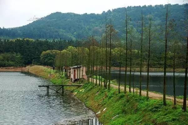 喜迎党代会奋进新征程视频,喜迎党代会雁城夜更美