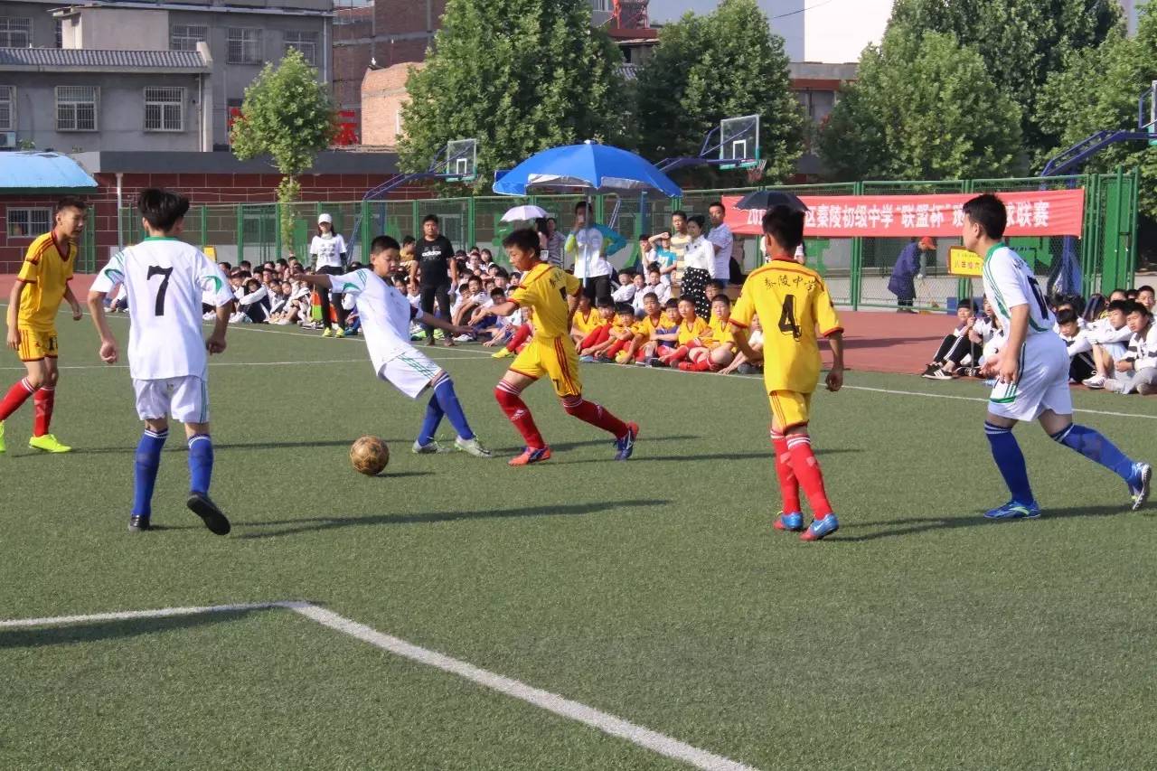 咸阳市渭城区校园足球联赛,临渭区校园足球联盟杯
