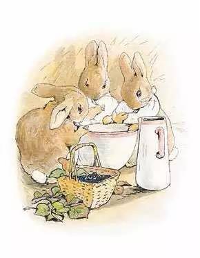 彼得兔的小时候,没有读过完美世界